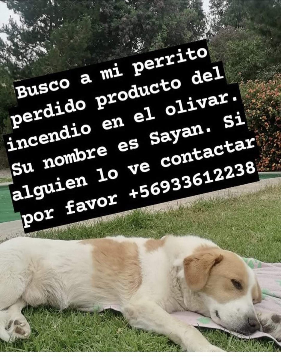 monsalvesmonica's tweet image. 