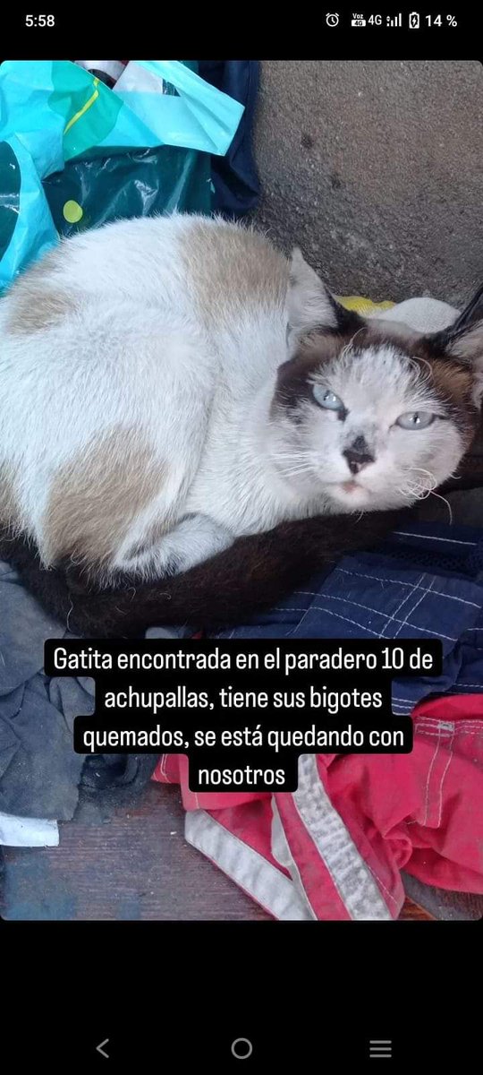 monsalvesmonica's tweet image. 