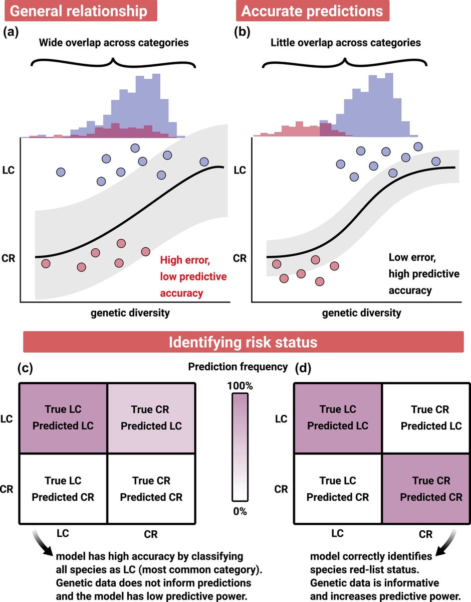 In this article, Schmidt et al share that #GeneticDiversity does not predict species #redlist status; thus, improved metrics are needed for accurate #conservation of genetic diversity.🟥🐾🌿 doi.org/10.1111/cobi.1…

#science #wordoftheweek #IUCN