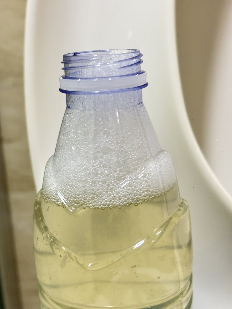 Letitia Bryan tweet media