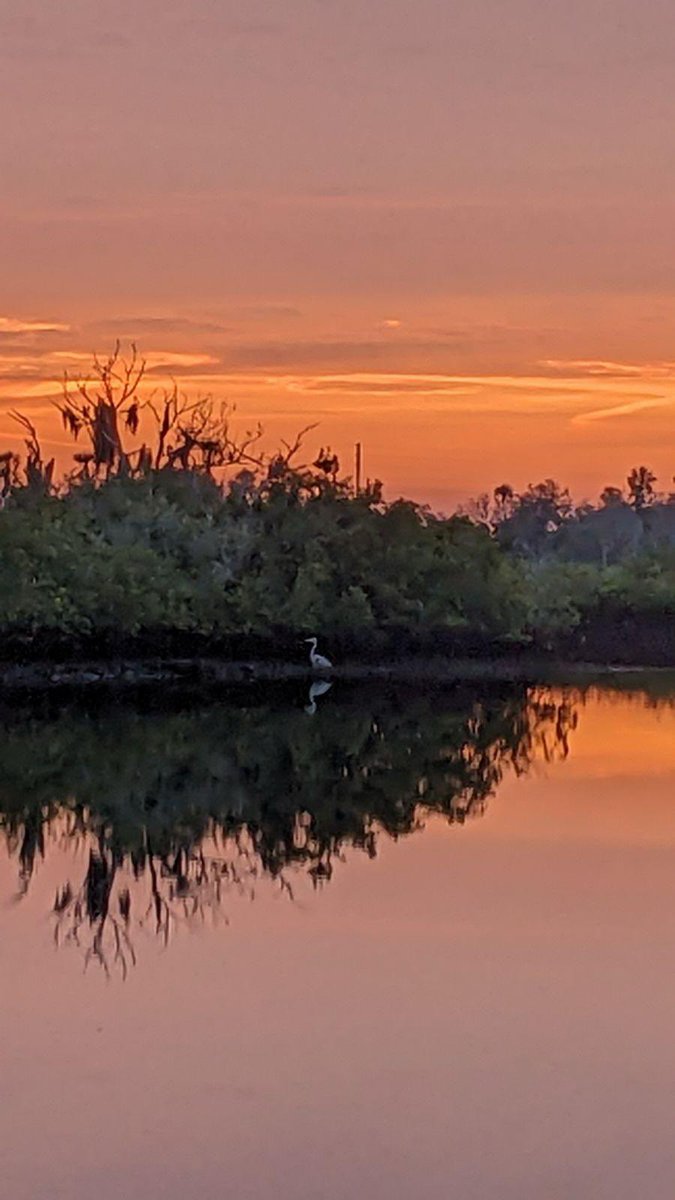One of our guests sent us a stunning photo of this morning's sunrise at Crystal River Lullaby B&B. ❤️
#sunrise #crystalriver #crystalriverlullaby #crystalriverfl #ozello #hebergement #preserve #privateisland #inn #übernachtungmitfrühstück #travel #travelphotography #alojamiento