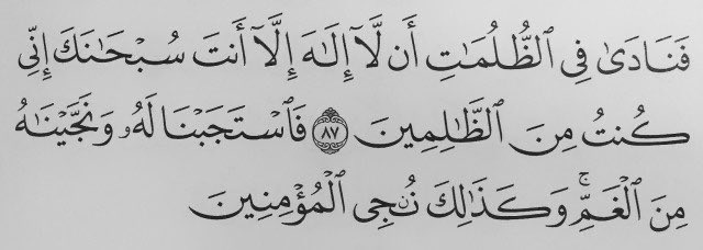 نُـوف tweet media