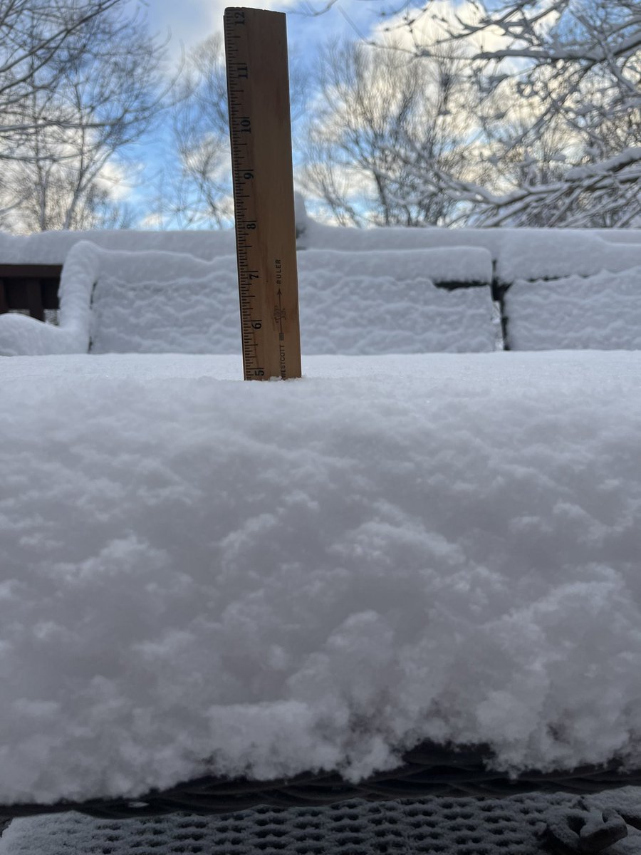 Tom Anderson tweet media