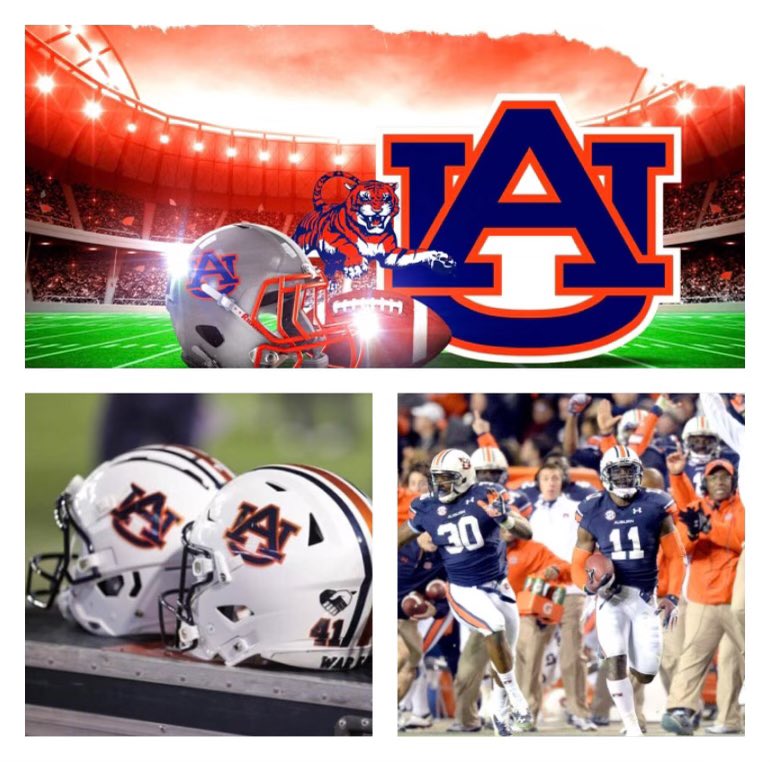 I am truly blessed and honored to receive an offer from The Auburn University @AuburnFootball @CoachHughFreeze @CoachDavisWR @CoachKingWill @BishopGormanFB @TomLoy247 @GregBiggins @ChadSimmons_ @JermainCrowell @GusMcNair009 @adamgorney @BlairAngulo @CraigHaubert @BrandonHuffman