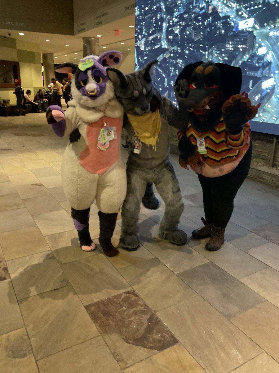 It’s been a while since I shared some fursuit pics for #FursuitFriday but here’s some from just after closing ceremonies at #ANE2024 featuring @lionwrestlerjun Junir and @BartonTheFox @PolarisWoof (I was able to make out their @ from their badge, so thanks!) The rest IDK. Help!