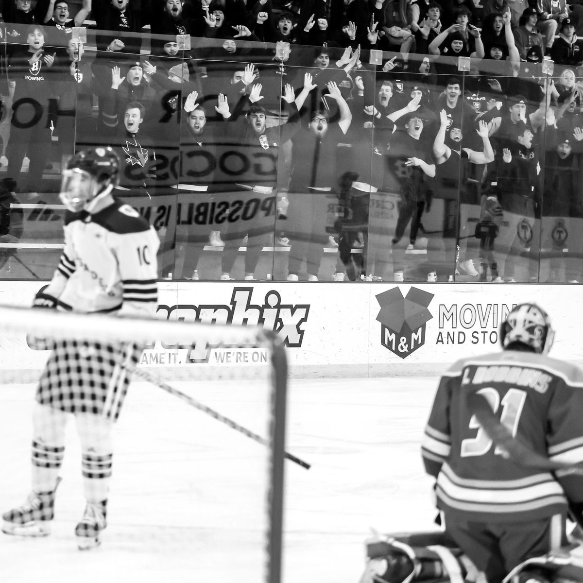 Holy Cross Football tweet media