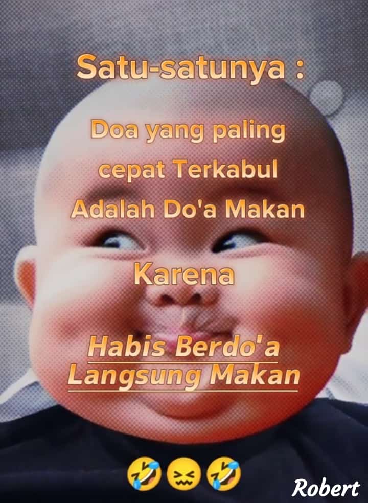 tawon ndas - 蜜蜂 tweet media