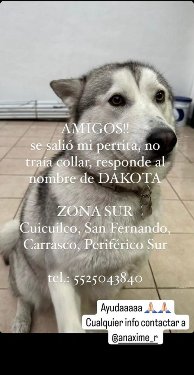 Marumar 🌺 tweet media