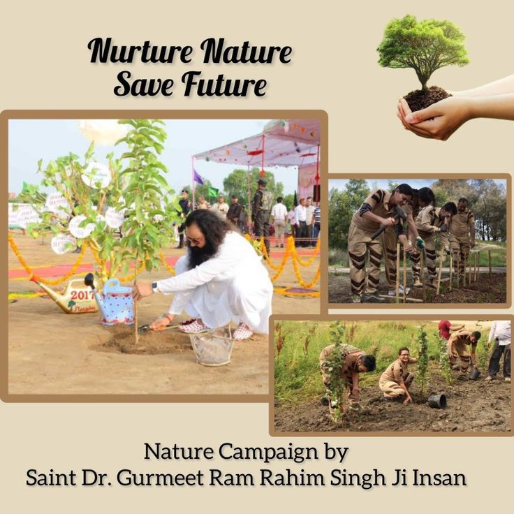 Every day the decreasing number of trees on the earth and increasing pollution is a matter of concern. 
Under the initiative Nature Campaign Lakhs of Dera Sacha Sauda volunteers plant trees annually with inspiration of Saint Ram Rahim Ji #GiftOfTrees