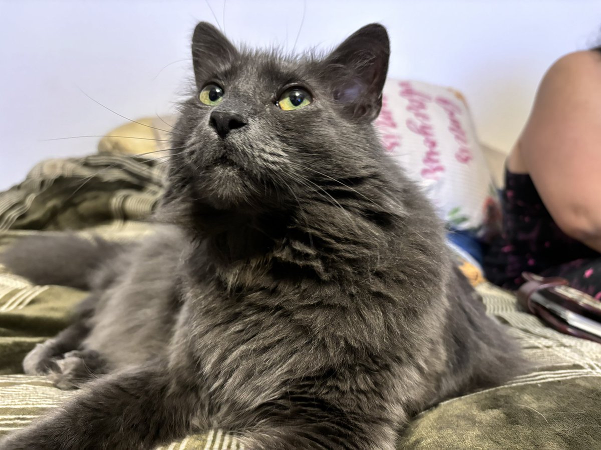 hangin out with gramma 😋❤️