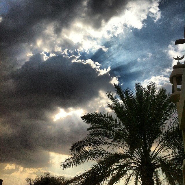 #صباح_الخير_والسعاده
اللهم السّعادَة التي نَتَمنّاها
          لِـ قُلوبِنا وَقُلوب مَن نُحب
           صباحيات جميلة كغيومها
           ونسماتها الباردة.