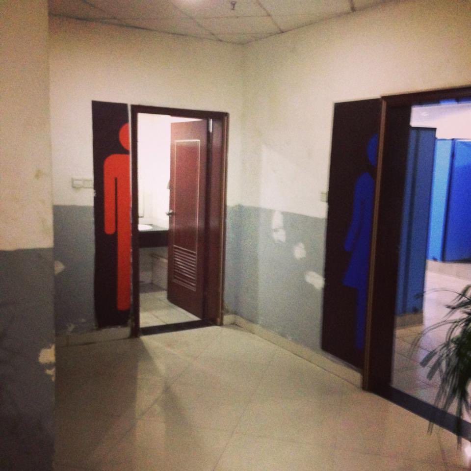 sirap_461's tweet image. 東急のトイレが話題のようですが、私はこのトイレ見て迷わず青の方に入ってしまいました…