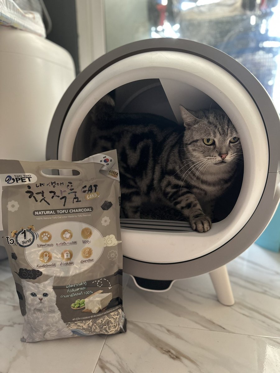 TodtyTodty30's tweet photo. แม่เติมทรายหน่อยครับ 😅
-#twotwopetทรายแมวเกาหลี #twotwopet #petcircle https://t.co/RSemjGWDTI