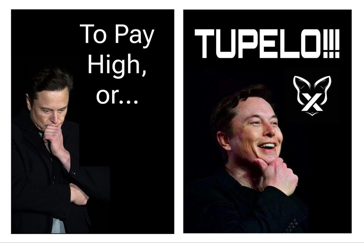TUPELO tweet media
