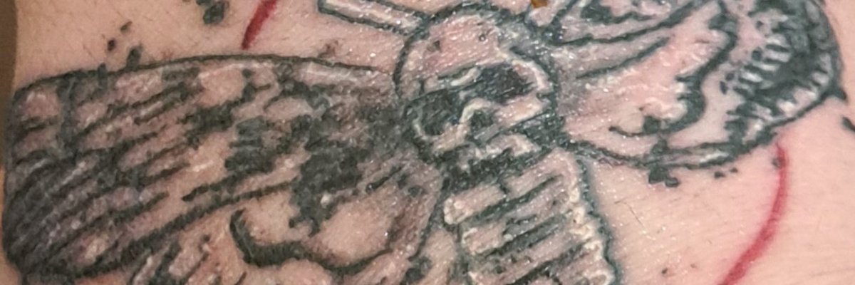UnsworthCarl's tweet photo. R.i.p bray https://t.co/7ozL9HIblt