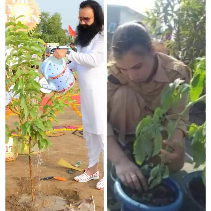 Alish96780894's tweet photo. हम सभी का एक छोटा सा प्रयास हमारे कल और हमारी पृथ्वी के लिए बहुत अच्छा और सकारात्मक हो सकता है, जैसे पेड़ लगाना। इसलिए Dera Sacha Sauda के अनुयायी पूज्य गुरुजी Saint Ram Rahim Ji की  प्रेरणा से हर साल लाखों पौधे लगाते हैं। #GiftOfTrees 
🌿🍃🌿 https://t.co/eN5TQpiHbN