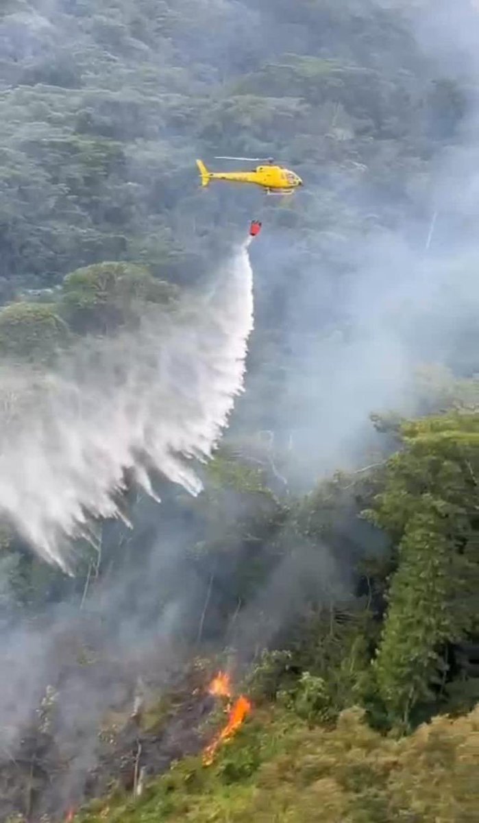 olmedolopezm's tweet photo. #AEstaHora, sala de crisis de la @UNGRD cerramos la noche con: 
13 Incendios forestales Liquidados. 
3 Incendios forestales activos: Medellin (San Cristobal - Com. 13) ; Ciénaga- Magdalena; San Luis - Tolima. 

Gracias a comunidad y equipos del SNGRD. Articulación total. https://t.co/hD5IFImCir
