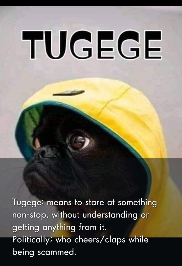 agutaseGIStech's tweet photo. @puritysandra @A_S_Nassir @RailaOdinga It is high time you leave this whatsapp group by the name "Tugege Association". Mocking while on a sinking ship is awful.Your drowning is inevitable. https://t.co/HMNzl2ATZu