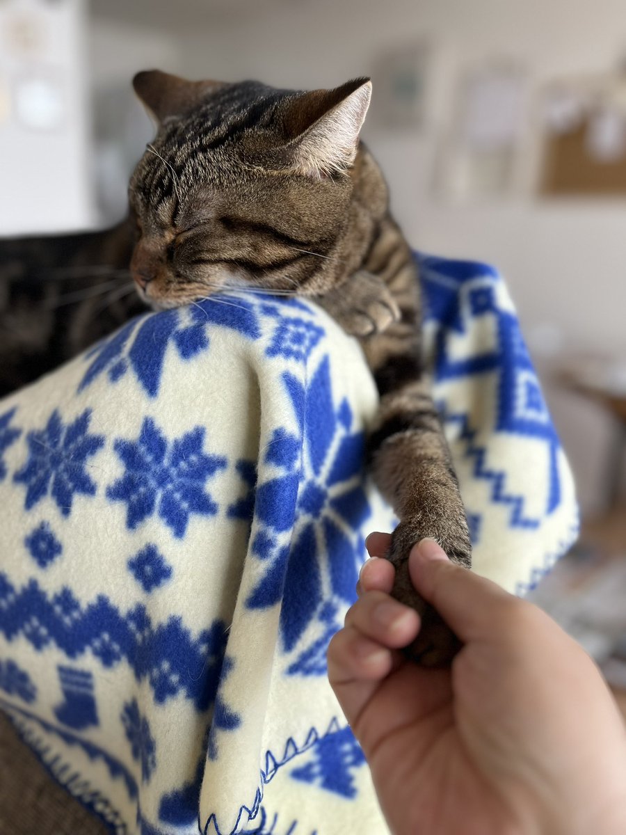 愛いすぎる