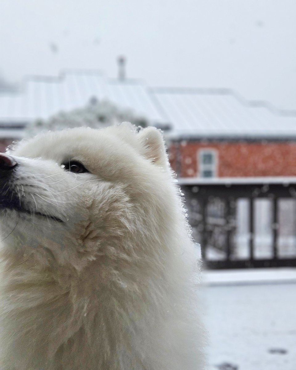 잘 지내고 있습니당