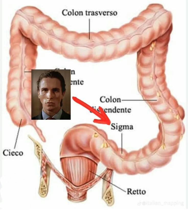 TapasDaniel's tweet photo. @luisardito666 https://t.co/2SQxmfrEV0