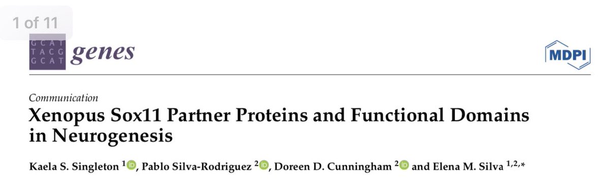 I hope this is the first of lots. Thanks to everyone that made this possible. #DevelopmentalBiology #Neurobiology #Science #Biology #Neurons #NeuralStemCells  #PhDLife #Guatemala #Ciencia #WashingtonDC #Xenopus