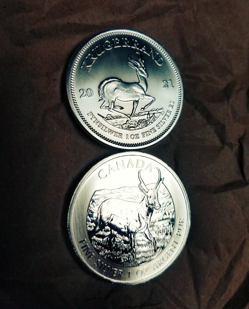 Da Spring-BOK & da PRONG-horn #Silver Goatalopes! 

The very good ones! 🥰🦌🐐🥰

Remember to stack that physical silver, & tell your frens.. best #Savings Account. 😍

#krugerrand #silversqueeze #preciousmetals #investing #commodities #Antelope #LoveIsBlind #money #savingmoney
