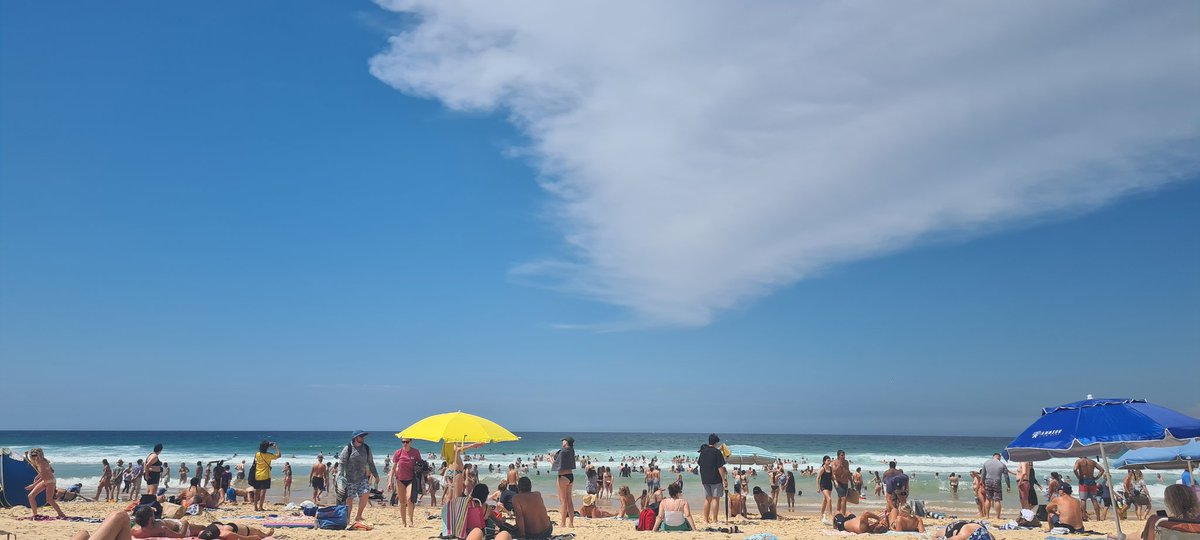 PJneedsleep's tweet photo. I am not used to this many people on a beach, or waves so far out
Give me a #wabeach any day #manly https://t.co/vr7ppNQKDU