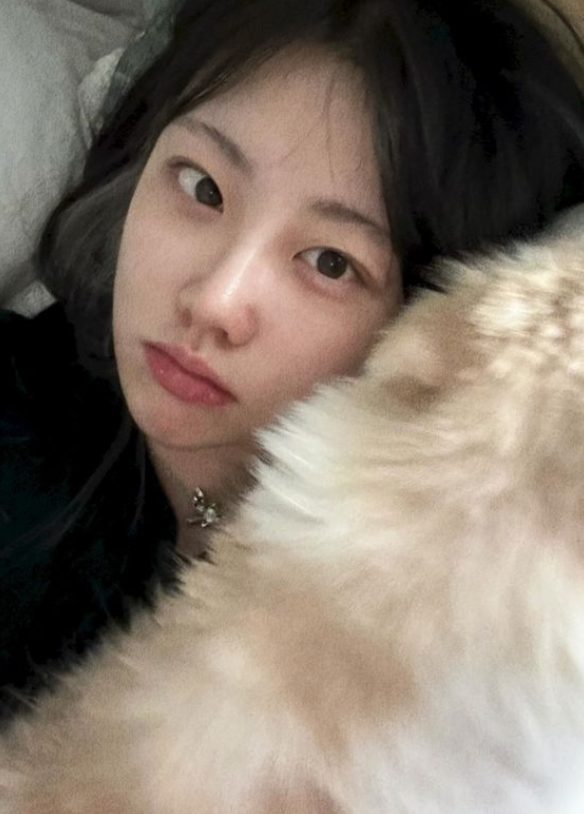 JudithLuke10's tweet photo. 有没有��狗狗的？ 特别粘人的乖女儿那种！ https://t.co/3FCZfGofWO