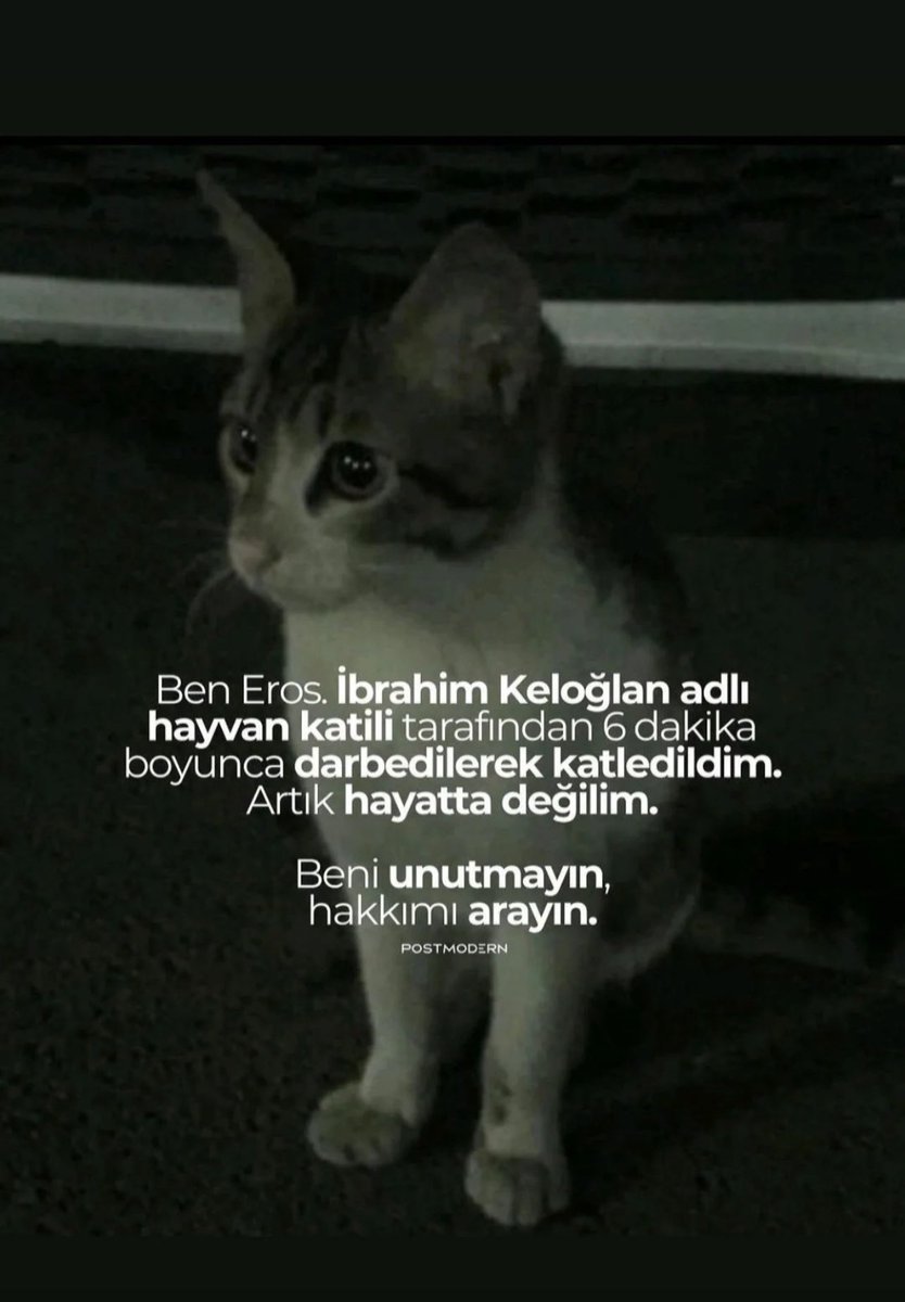 #ibrahimkeloglantutuklansin