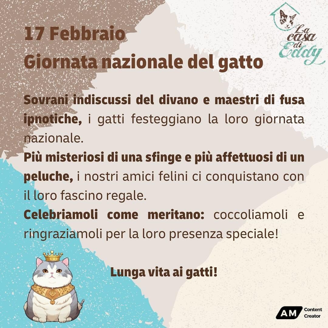 😻 GIORNATA NAZIONALE DEL GATTO 🐾🐾

#17Feb #17febbraio #gatto #gatti #cat #cats