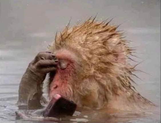 BongsMahlangu_'s tweet photo. A man will expect you to do all the house chores alone and still have the energy for intimacy 😩 https://t.co/niNqhsHa8W