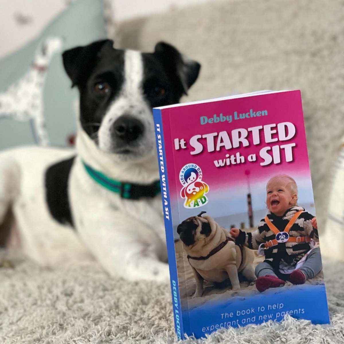 My first book 'It Started With a Sit' is out now on Amazon worldwide!! It's THE perfect book for expectant and new parents of both kids and dogs! ❤️🐶
