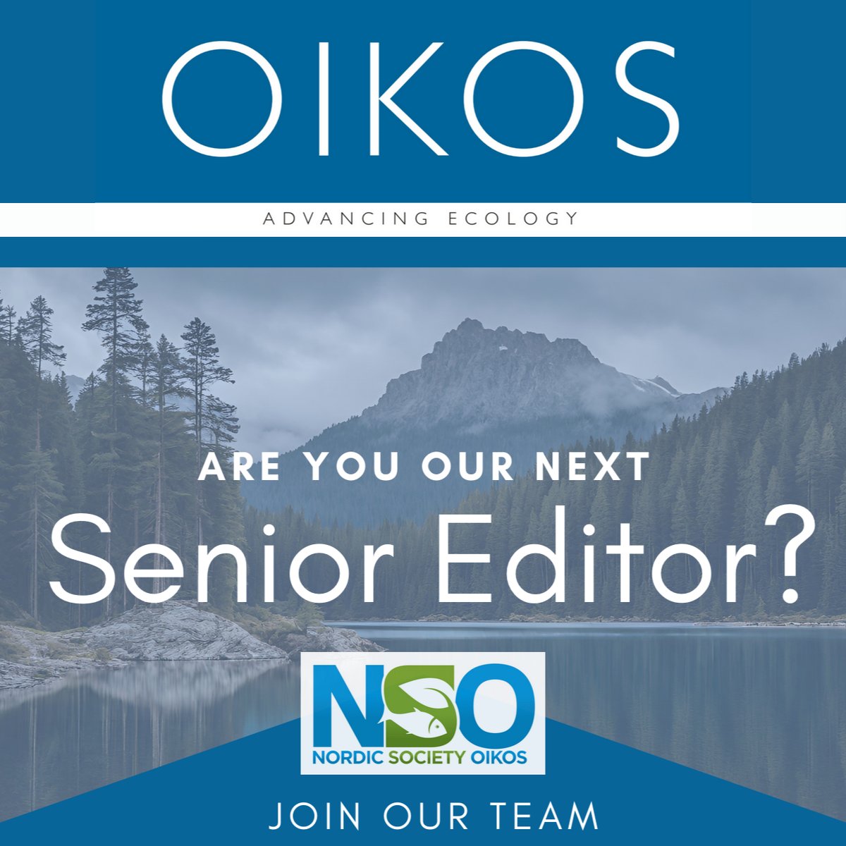 Our sister journal Oikos is hiring two senior editors. Read more: oikosjournal.org/blog/applicati… @Oikos_Journal @NordicOikos