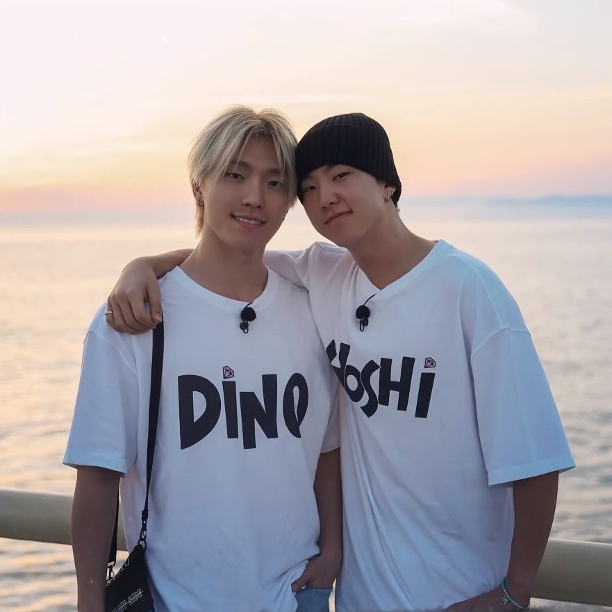 lovechankkura's tweet photo. DINO's favorite hyung and HOSHI's favorite dongsaeng 🥺🤍 my adorable soonchan https://t.co/IH0KpB6ayV