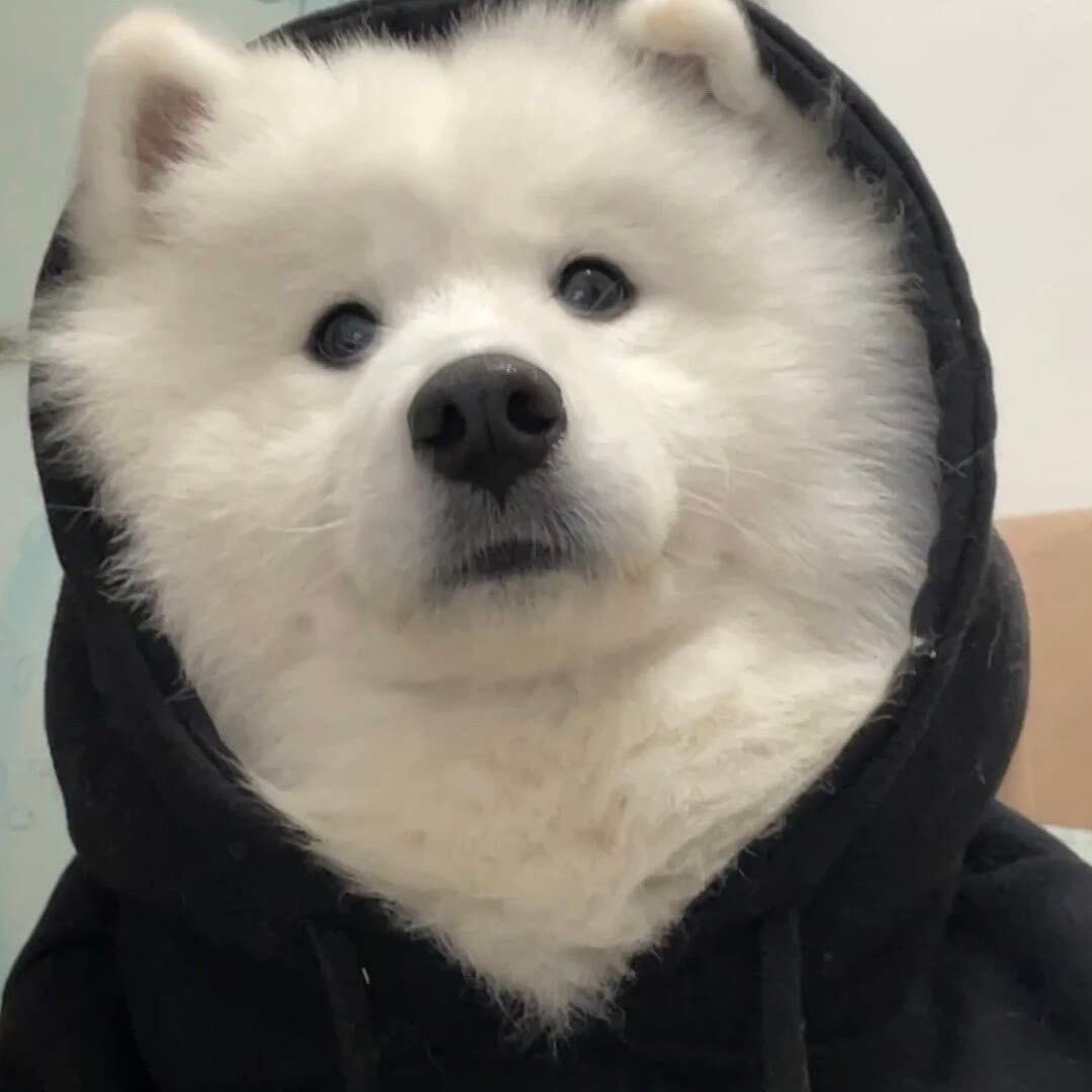 ツ (@jenowley) on Twitter photo 