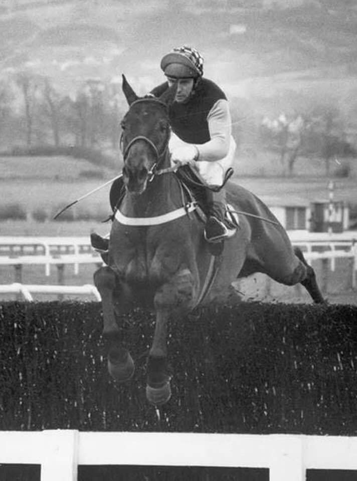 Pendil (Richard Pitman) was arguably the most talented jumper trained by Fred Winter. There was certainly no better chaser on Park courses. At one point he had been successful in 19 of 21 steeplechases, but sadly, was never destined to win the Cheltenham Gold Cup.