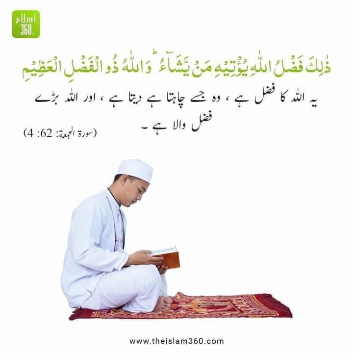 Therealmahnoor's tweet photo. Beyshak🥀
#Nawalny #KiVi16F https://t.co/KDTe3TqFZD