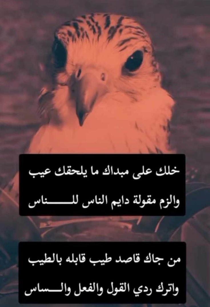 مريم (@mareaam9) on Twitter photo 