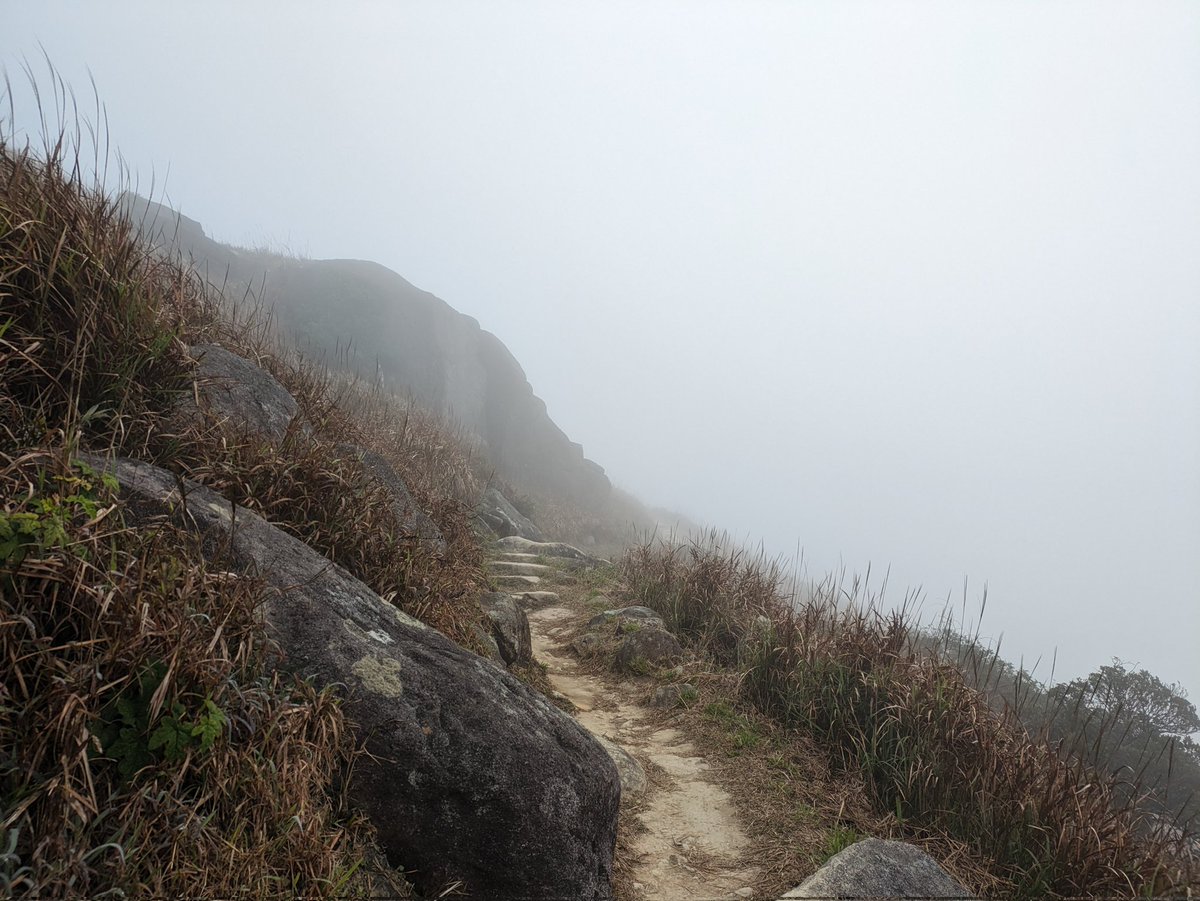 ここは低山アカウントでもあるので、香港でも一応登りました、Lan Tau TrailのSection 2、大東山（Sunset peak)。

梅窝に行きたかったから、伯公拗（Pak Kung Au)から登ったけど、通常とは逆走ということに後から気づいてちょっと気まずかった😅

上の方がすごいガスっちゃって残念…。