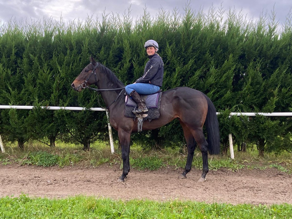 🩷💛 Runner today! Kalganov goes in the 5.30 @NewcastleRaces for @mdodsracing and @phillip_dennis It’s a hot race for the level but he’s in good form. Good luck all!