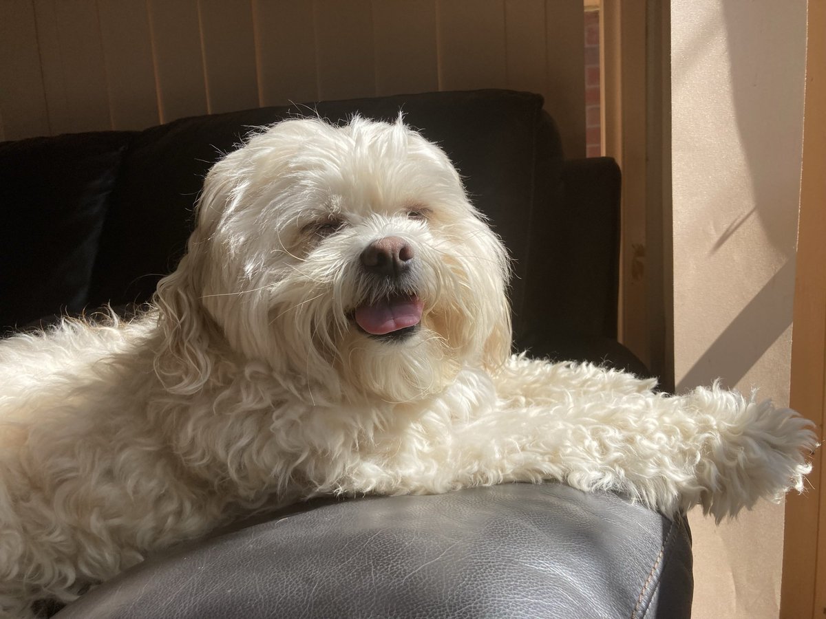 Kelly Williams-Kelly tweet media