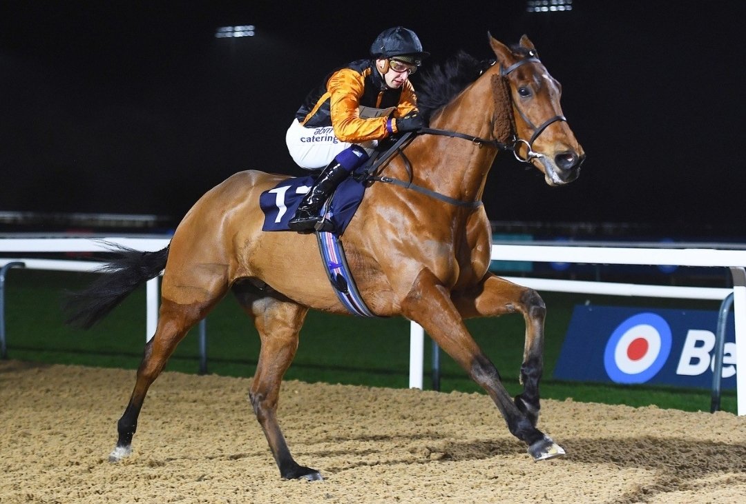 Great to have last year's all weather star ZEALOT back tonight. 7.15 Wolverhampton. He had a setback last spring & it's taken time but hopefully he can get back to where he was. Likely to improve for tonight but hopefully can run a nice race. @MickApplebyUK @Horsewatchers1