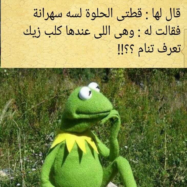 Fa64Ali's tweet image. يسهر ويسهرها معاه المسكينة يستاهل ردها عجبني😀
صباحكم بدون سهر✋