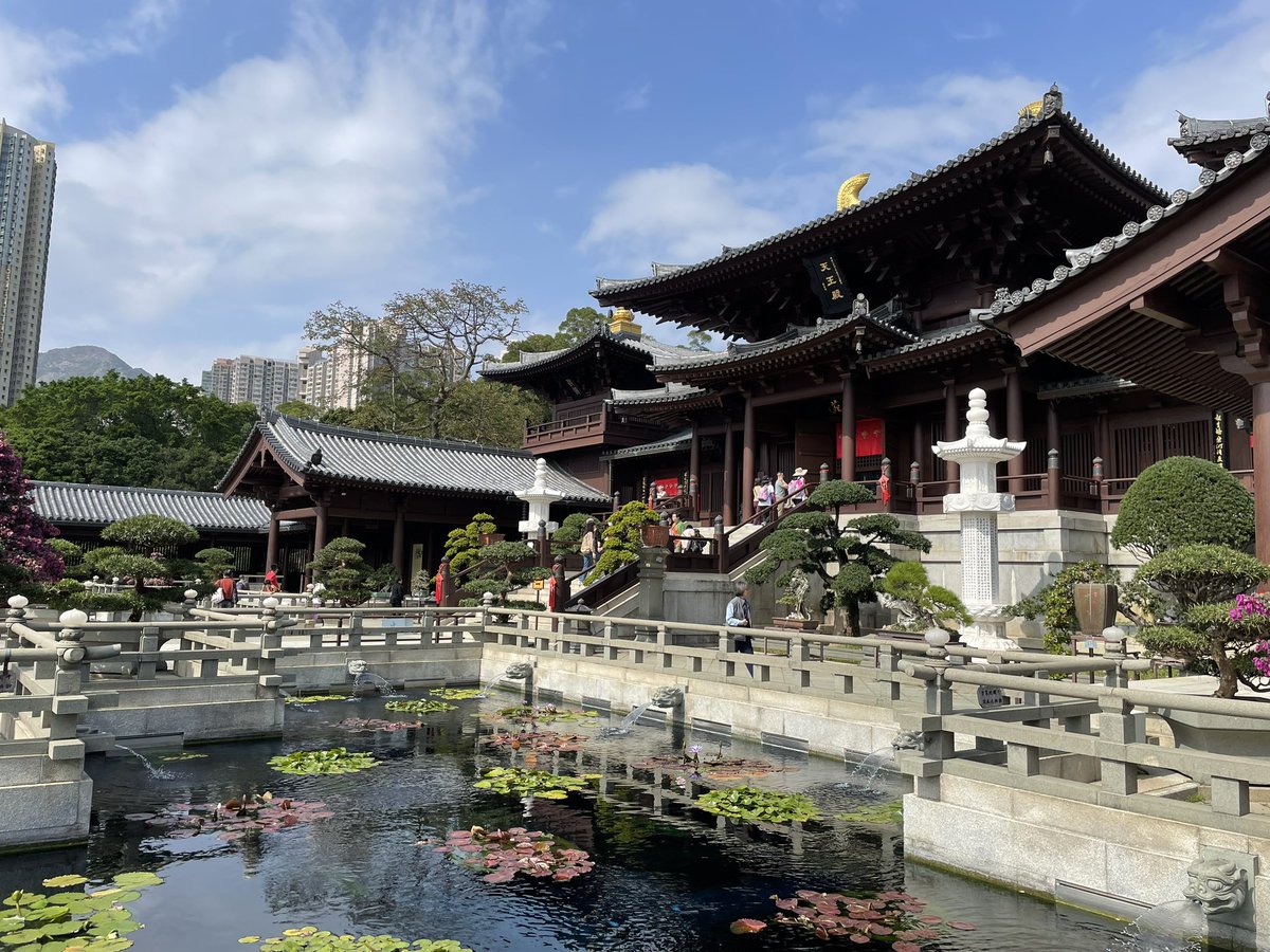 Milo__D's tweet image. 🇭🇰 HK is crazy !! ❤️