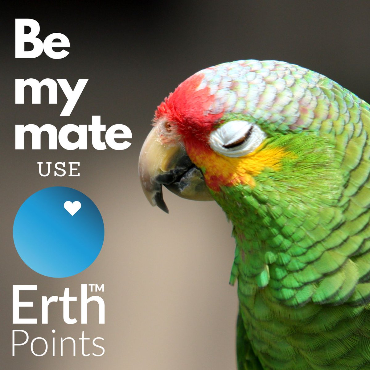 ErthPoints's tweet photo. Give yourself a high five from the animals and the planet when you earn Erth Points while you shop. Especially the endangered species. Download the free App, and start earning Erth Points.

#erthpoints #rewards4earth #heroes #savetheplanet #earth #helptheplanet #givemefive https://t.co/EAyNzcokFv