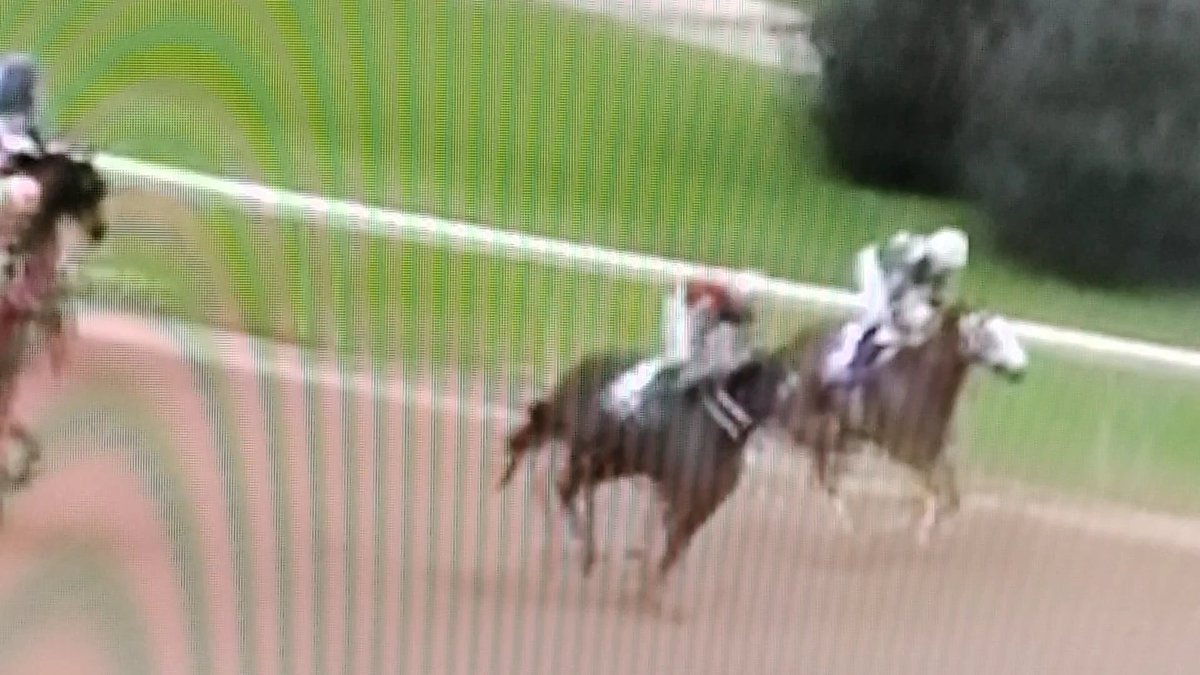 3WideNoCover (@outwid3nocover) on Twitter photo Race one Oaklawn 02/16/24 congratulations to connections of Our Keepsake, 3yold took on the 4yolds and won. Nice Race one Oaklawn 02/16/24 congratulations to connections of Our Keepsake, 3yold took on the 4yolds and won. Nice