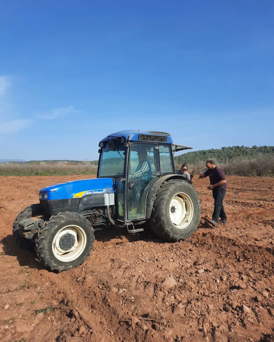 Ca Rosset #avellanes tweet media