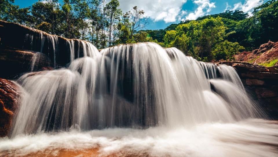 The Long Run tweet media