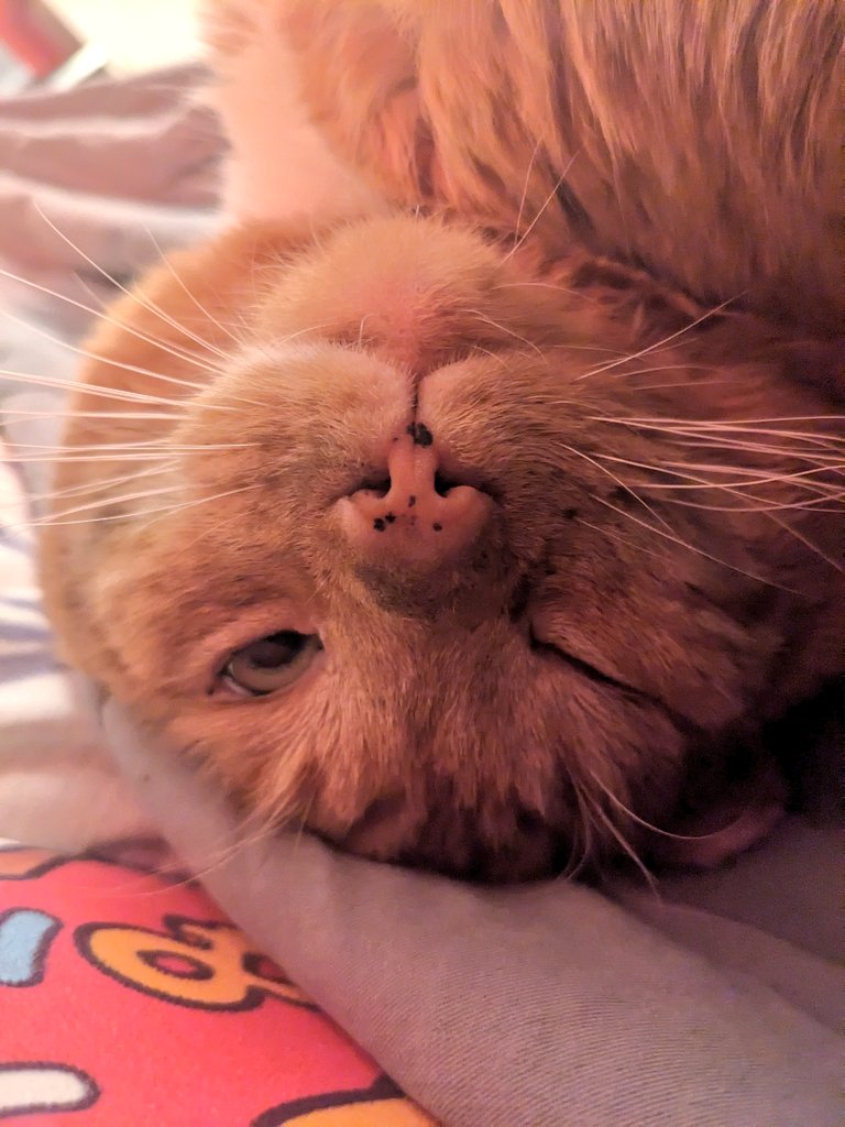 Ellen (@ellenfromnowon) on Twitter photo 